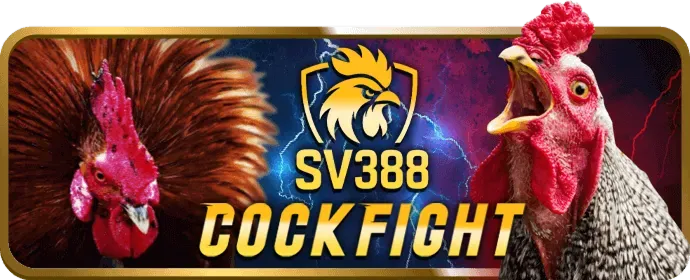 Đội ngũ hỗ trợ 24/7 tận tâm